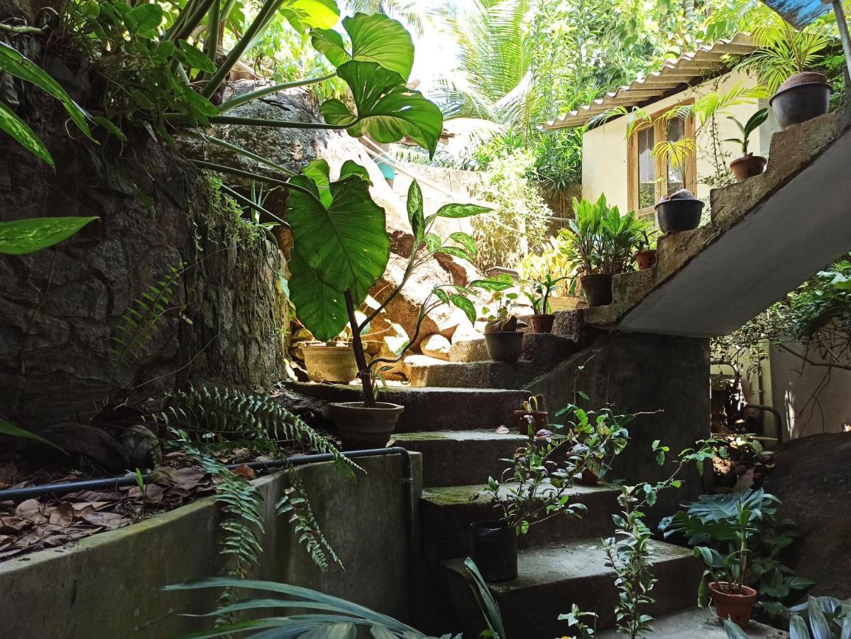 Butterfly Jewel Bed and Breakfast Unawatuna Eksteriør billede