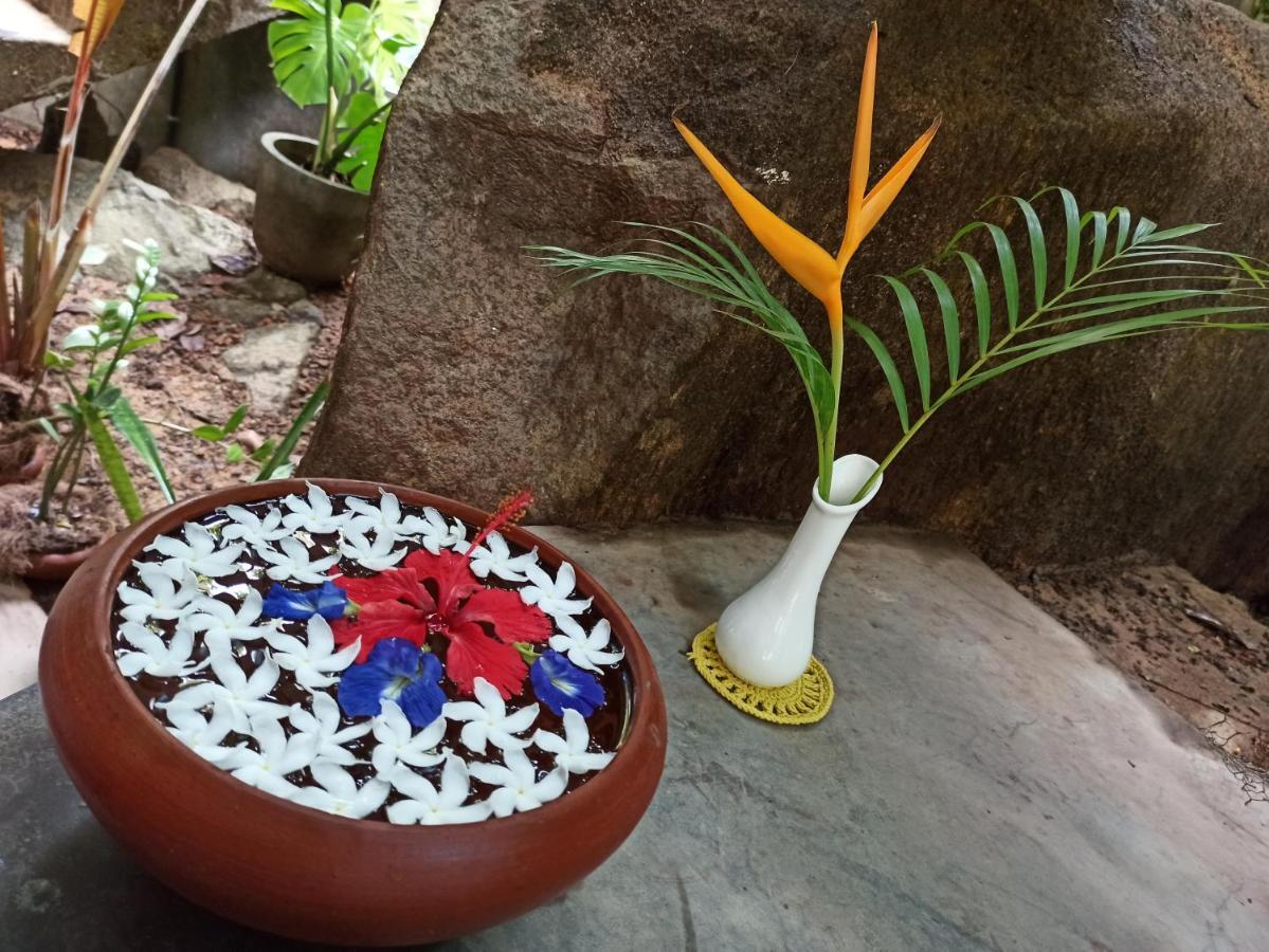 Butterfly Jewel Bed and Breakfast Unawatuna Eksteriør billede
